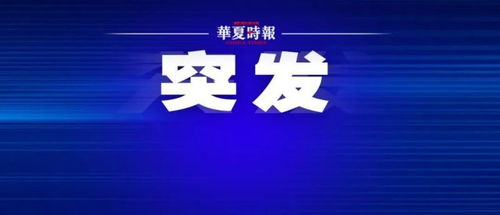 中植集團申請破產清算獲法院受理，破產清算服務啟動